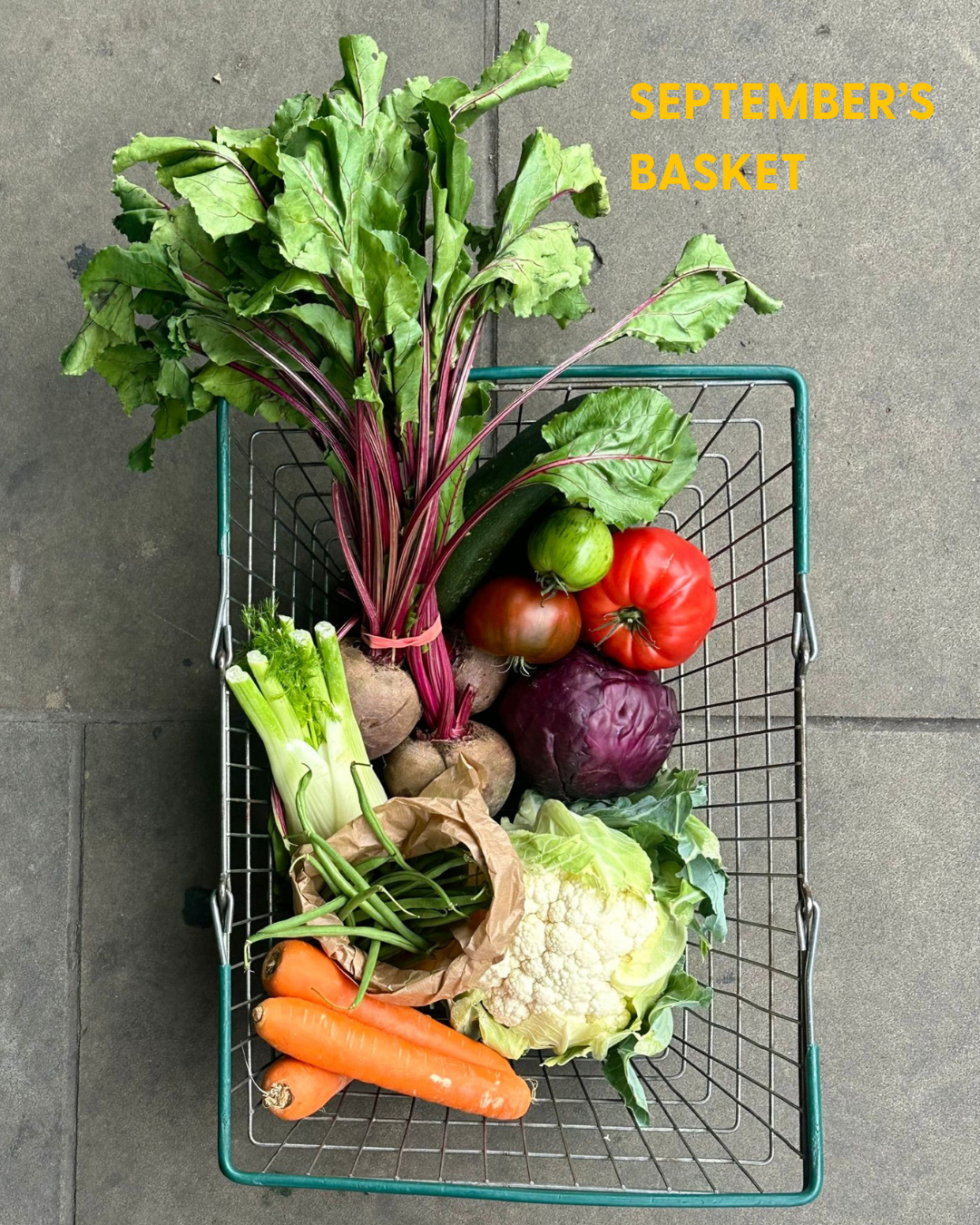 September’s basket: seasonal vegetables